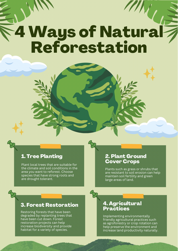 4 WAYS OF NATURAL REFORESTATION