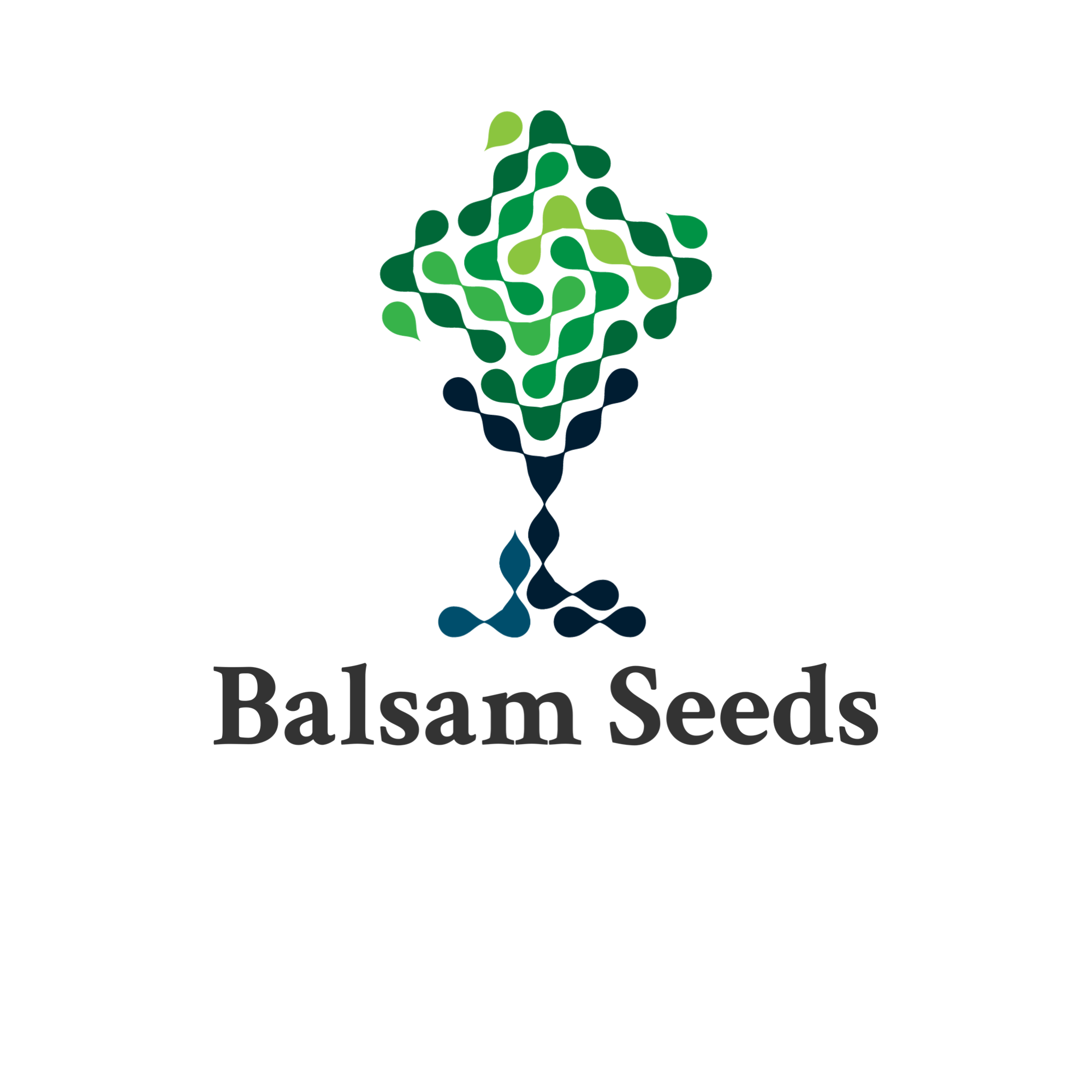 BALSAM SEEDS